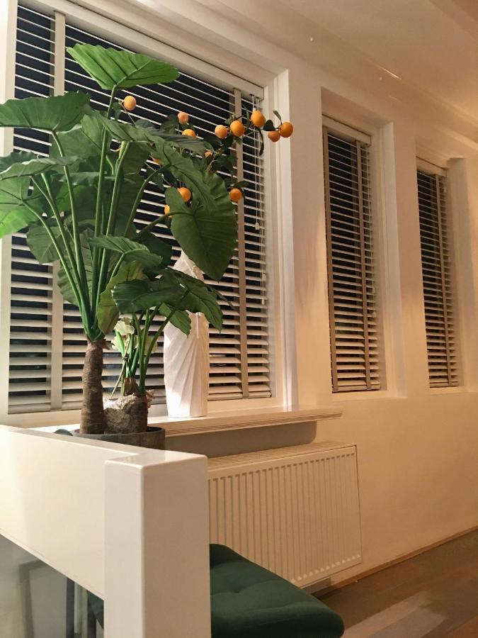 Vakantiehuis De Zeeparel Zandvoort Dış mekan fotoğraf